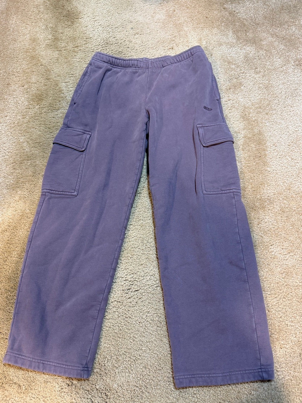 Aritzia pants